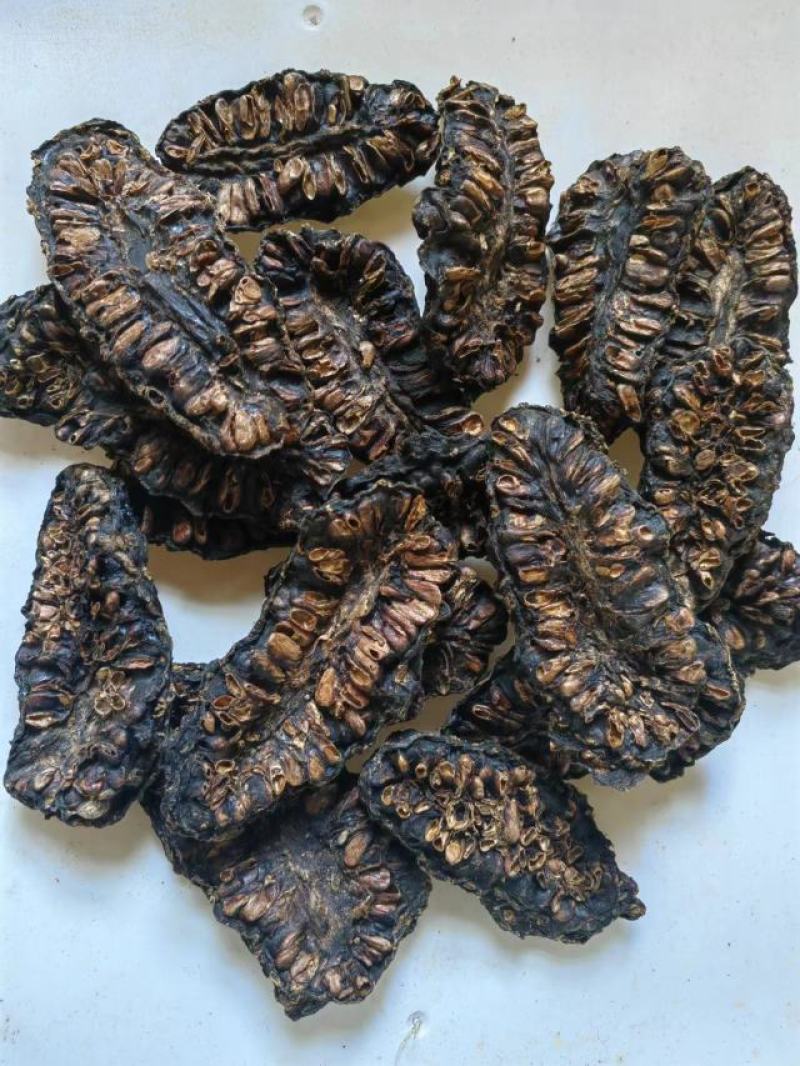诺丽果，干，鲜