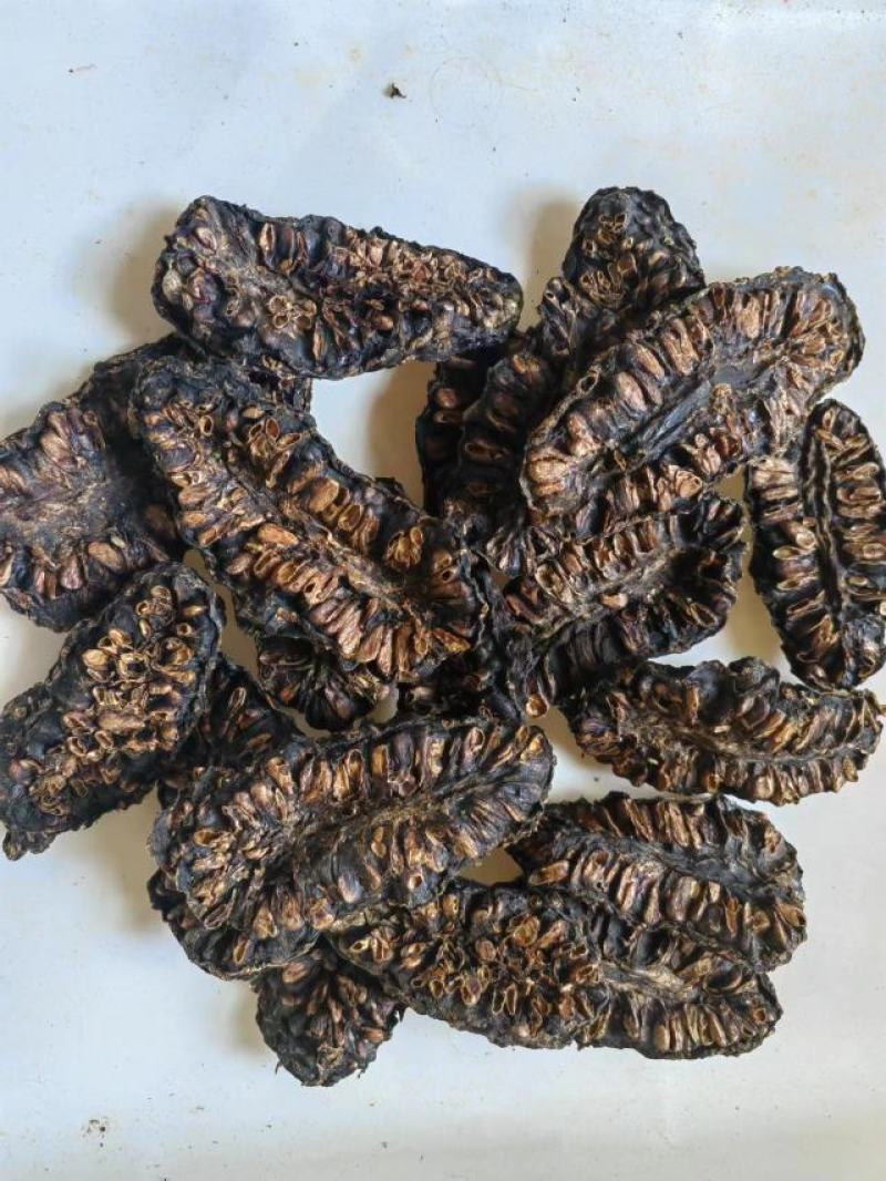 诺丽果，干，鲜