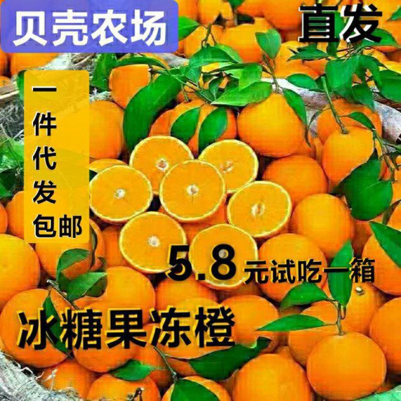 麻阳冰糖橙果冻橙手剥橙农场直发接直播团购一件代发
