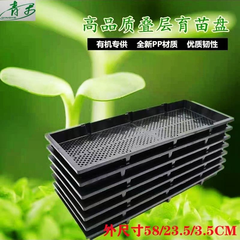 商用加厚育苗盘芽苗菜种植盘育苗托盘水培蔬菜盘无土栽培批发