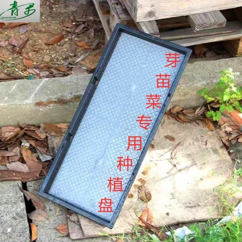 商用加厚育苗盘芽苗菜种植盘育苗托盘水培蔬菜盘无土栽培批发