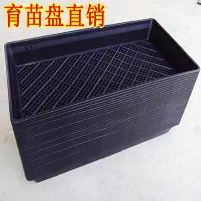 商用加厚育苗盘芽苗菜种植盘育苗托盘水培蔬菜盘无土栽培批发