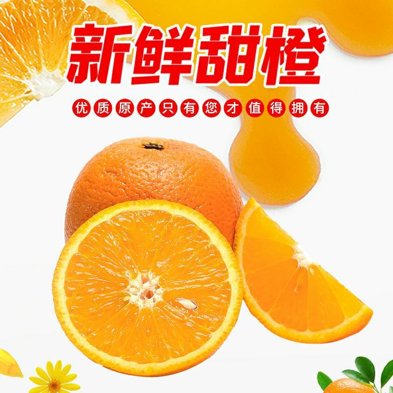 麻阳冰糖橙果冻橙手剥橙农场直发接直播团购一件代发