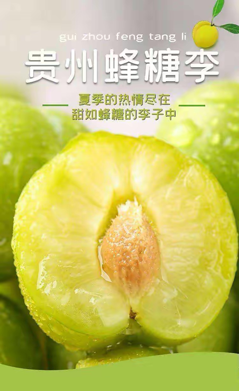 蜂糖李