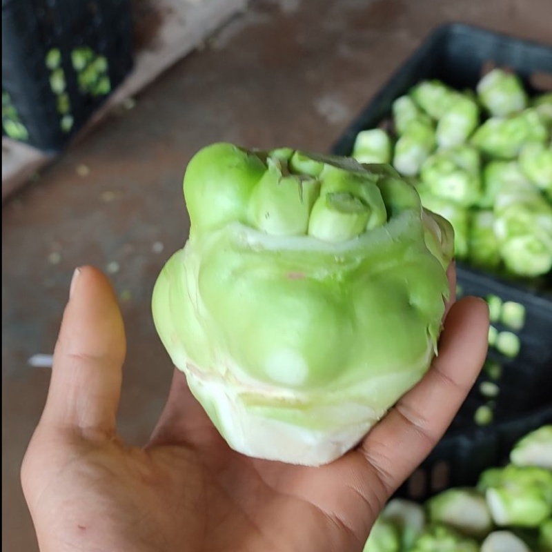 风干榨菜皮榨菜干湖南风味土特产散装货