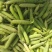 四川白豌豆精品大白豌豆管青豌豆粒粒饱满商超：四川堂诚农业