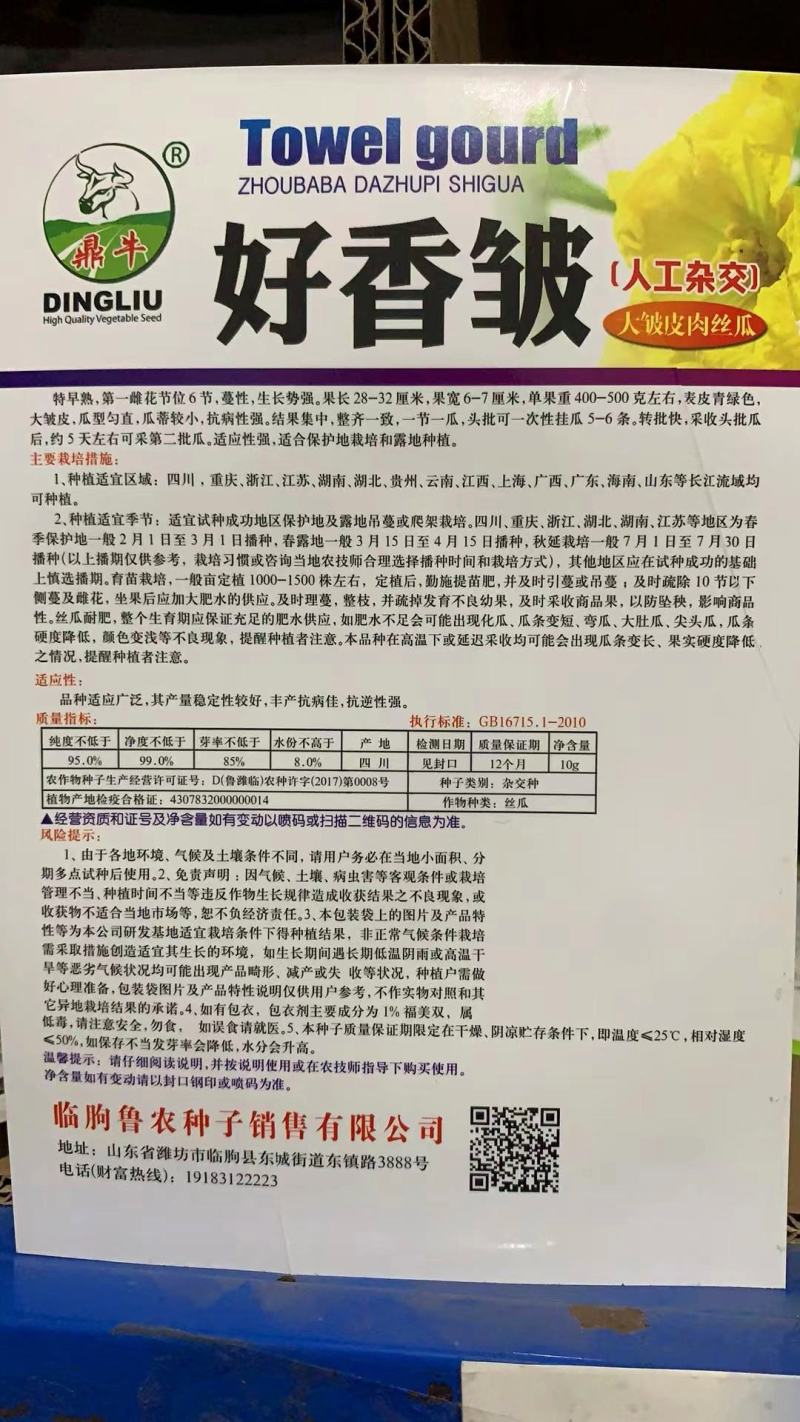 【皱皮丝瓜种子】早皱88早熟结果节位低长度30厘米大皱皮