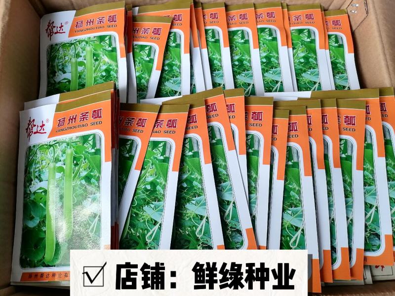 帮达扬州条瓠早熟品质佳抗逆性优亩产3000公斤