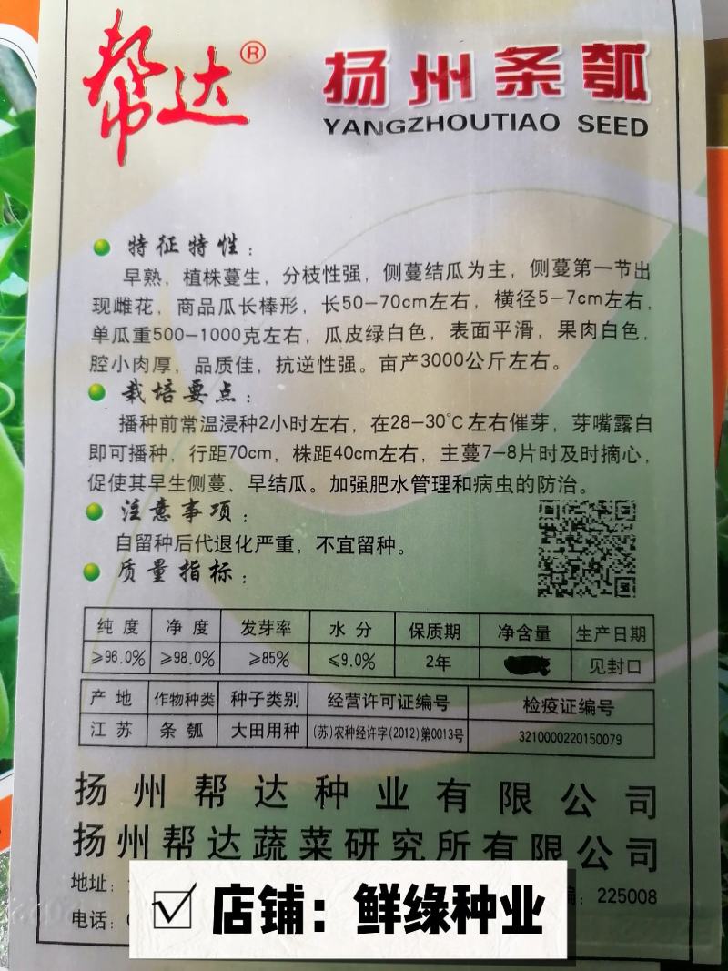 帮达扬州条瓠早熟品质佳抗逆性优亩产3000公斤