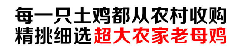 正宗老母鸡土鸡现杀老母鸡3年土鸡散养农村农家鸡肉整鸡生鲜