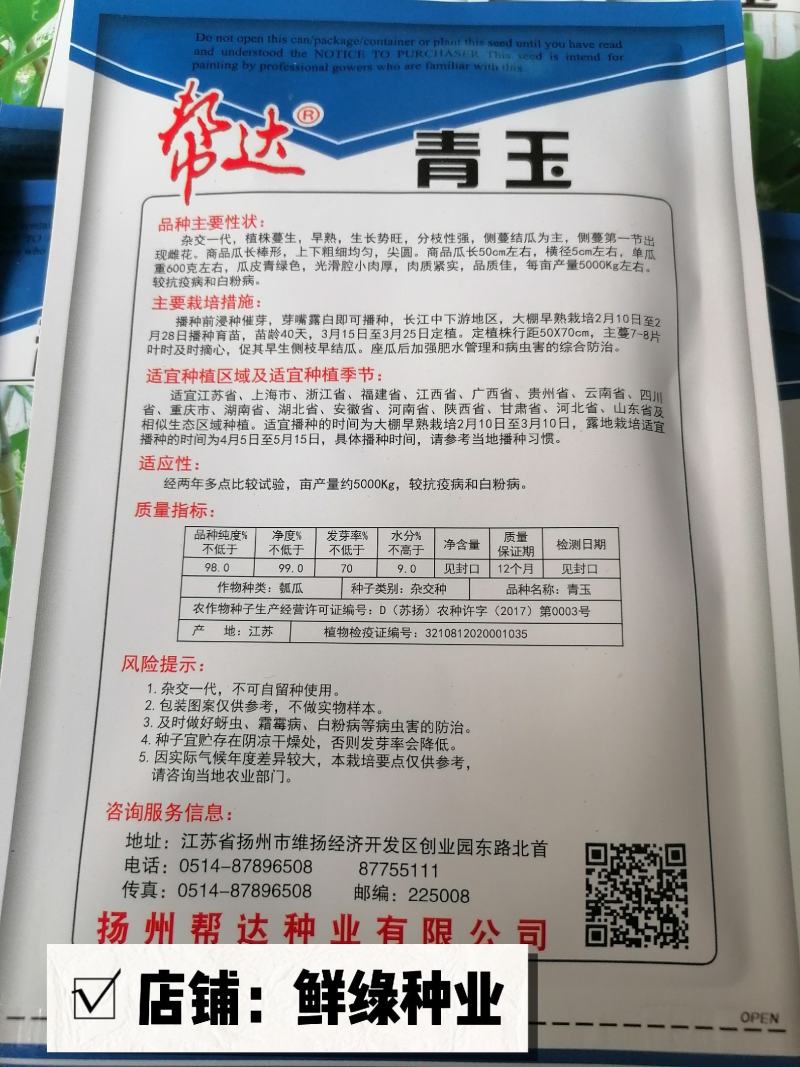 帮达青玉瓠瓜杂交一代早熟肉质紧实品质佳抗病优