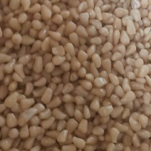 藠头，淹制，盐渍藠头半成品