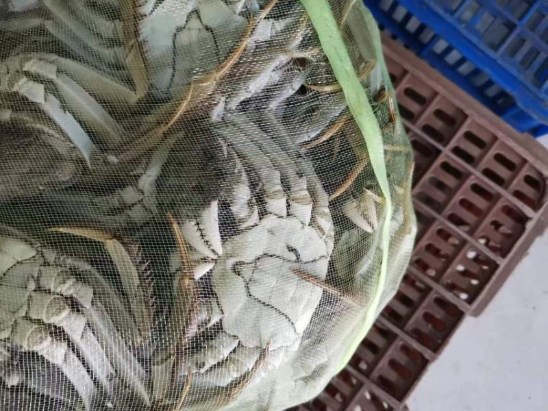 洪湖精品本地蟹残公3公到4公（下单之前请先咨询）