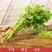 【推荐】香芹芹菜江苏芹菜基地直发品质保证新鲜采摘