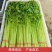 【推荐】香芹芹菜江苏芹菜基地直发品质保证新鲜采摘