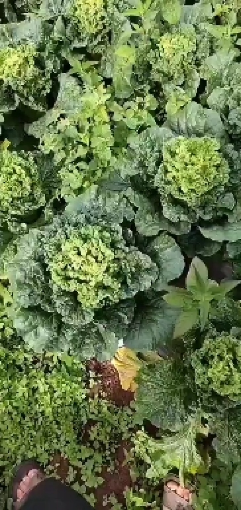 有需要的请打电话联系？