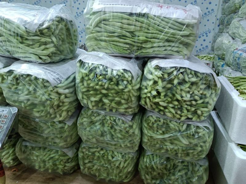 云南孟定精品无筋豆，露天反季节蔬菜，农户一手货源，