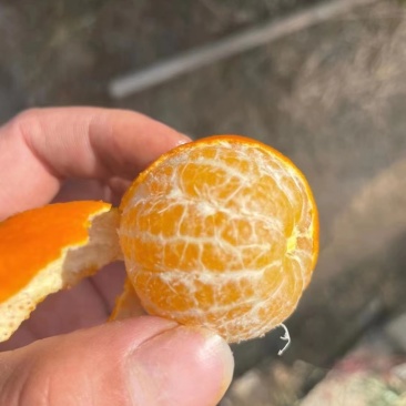 广西桂林砂糖橘，蜜橘，产地直发，品质保证，专业团队，砂糖