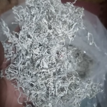 我这边是张家界罗塔坪莓茶发源地，一手货源，有需要可以联系