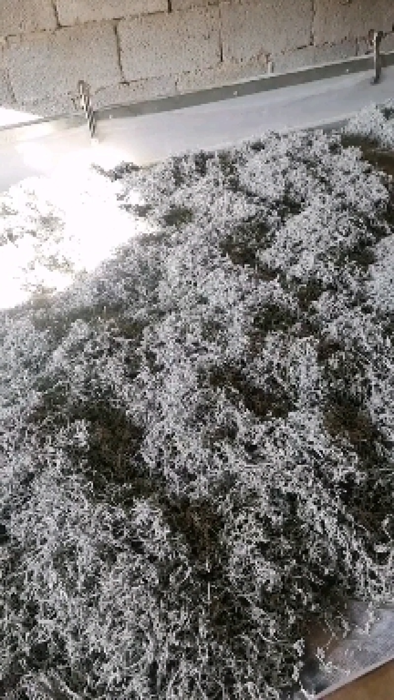 我这边是张家界罗塔坪莓茶发源地，一手货源，有需要可以联系