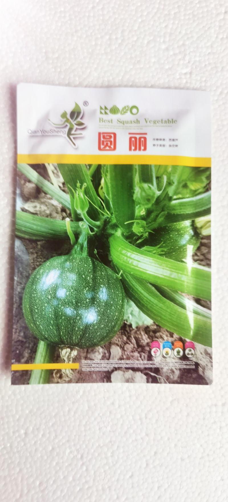 圆西葫芦种子麒麟早熟节节有瓜油亮硬度好产量高抗病