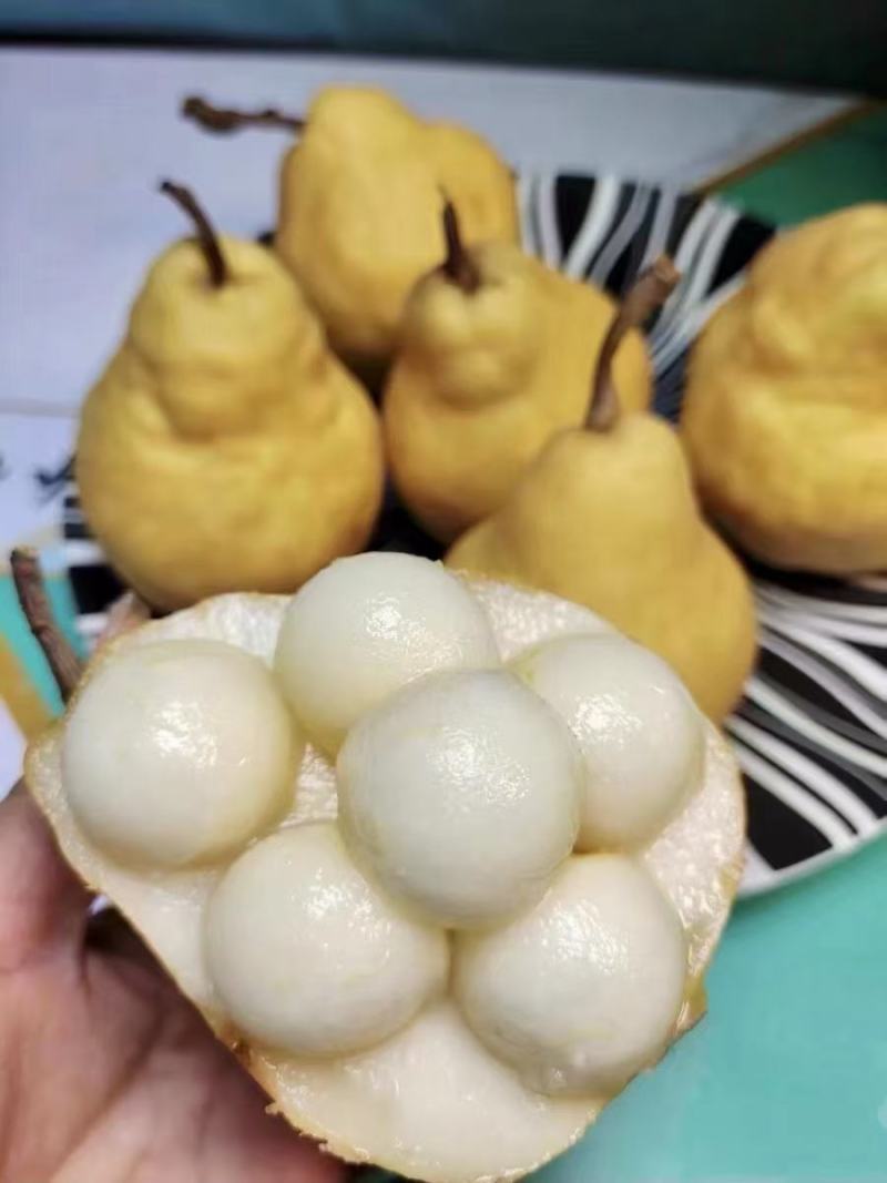 丑梨丑梨，烟台昆嵛山特产丑梨软糯多汁，冬天必备水果