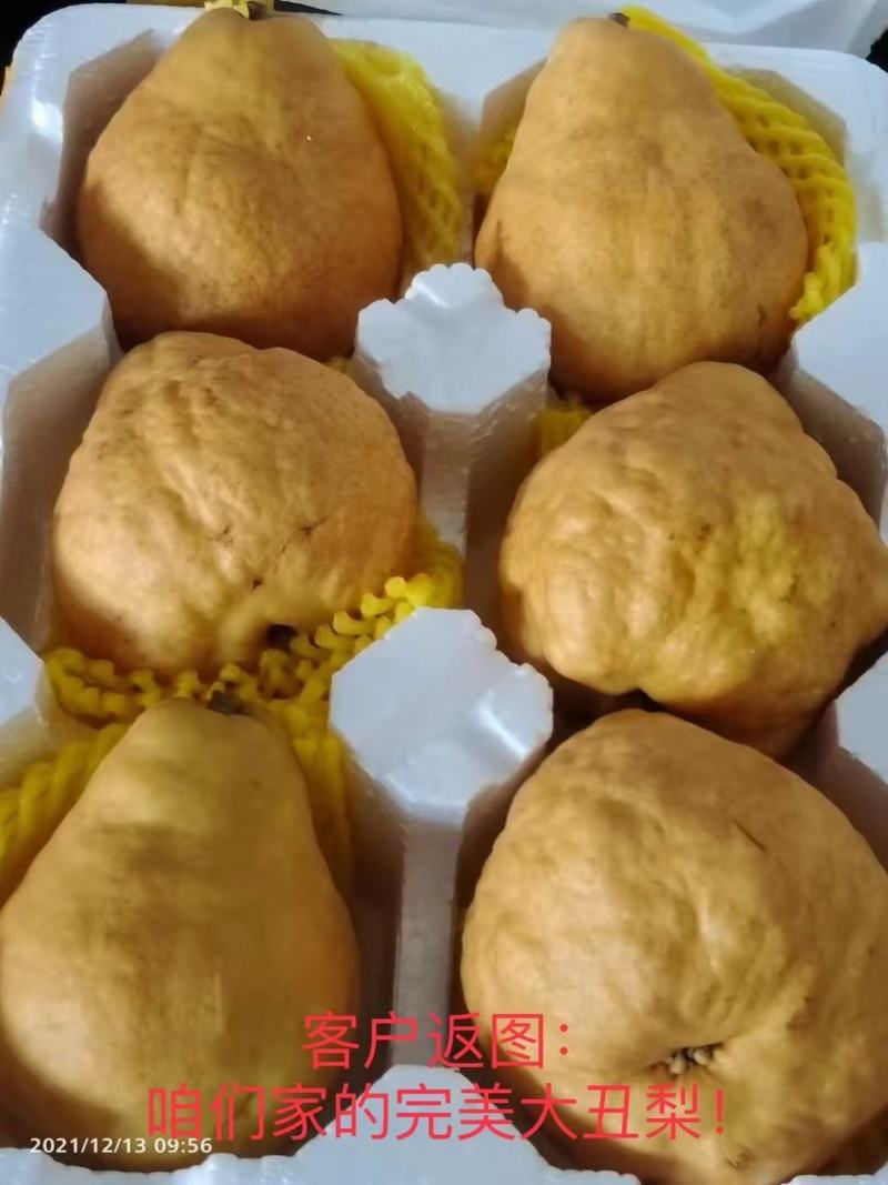 丑梨丑梨，烟台昆嵛山特产丑梨软糯多汁，冬天必备水果
