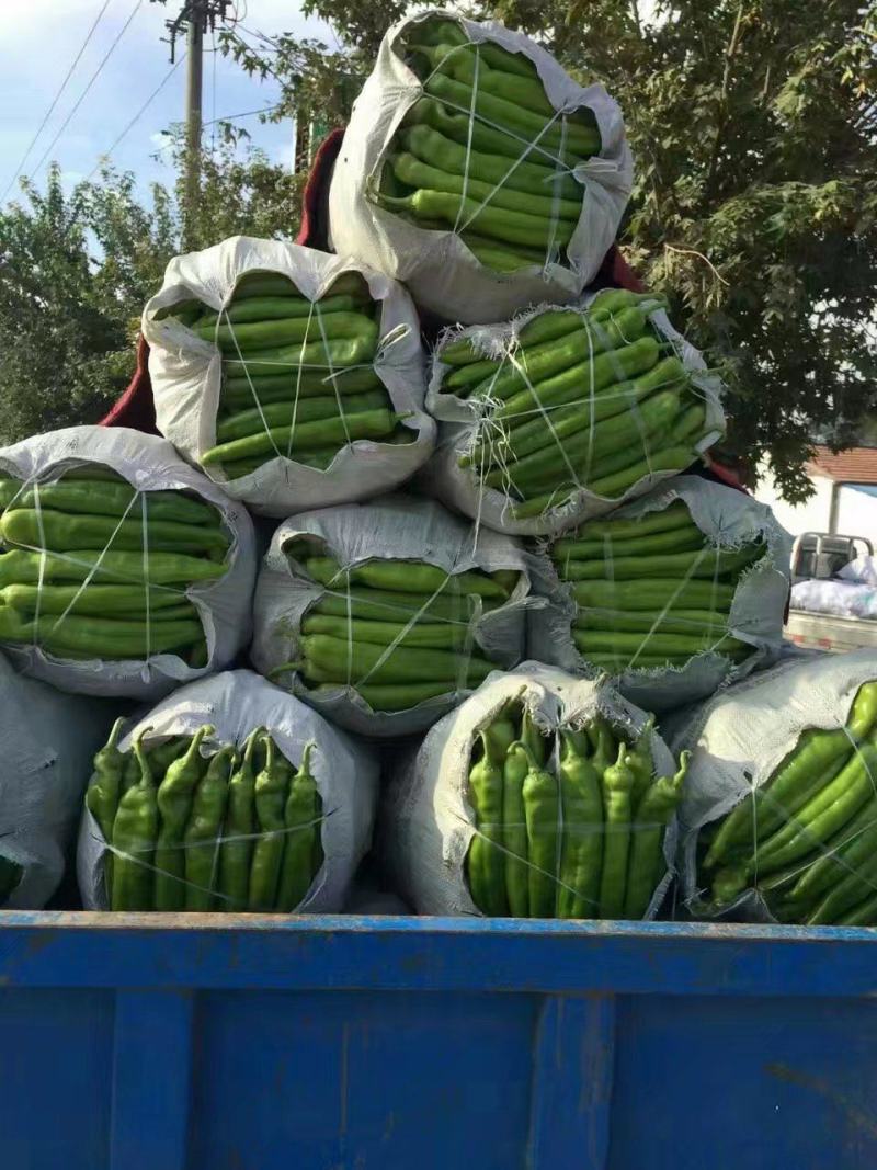 辣椒