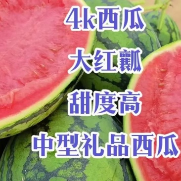 果蔬种苗