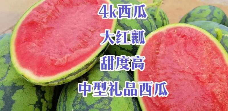 果蔬种苗