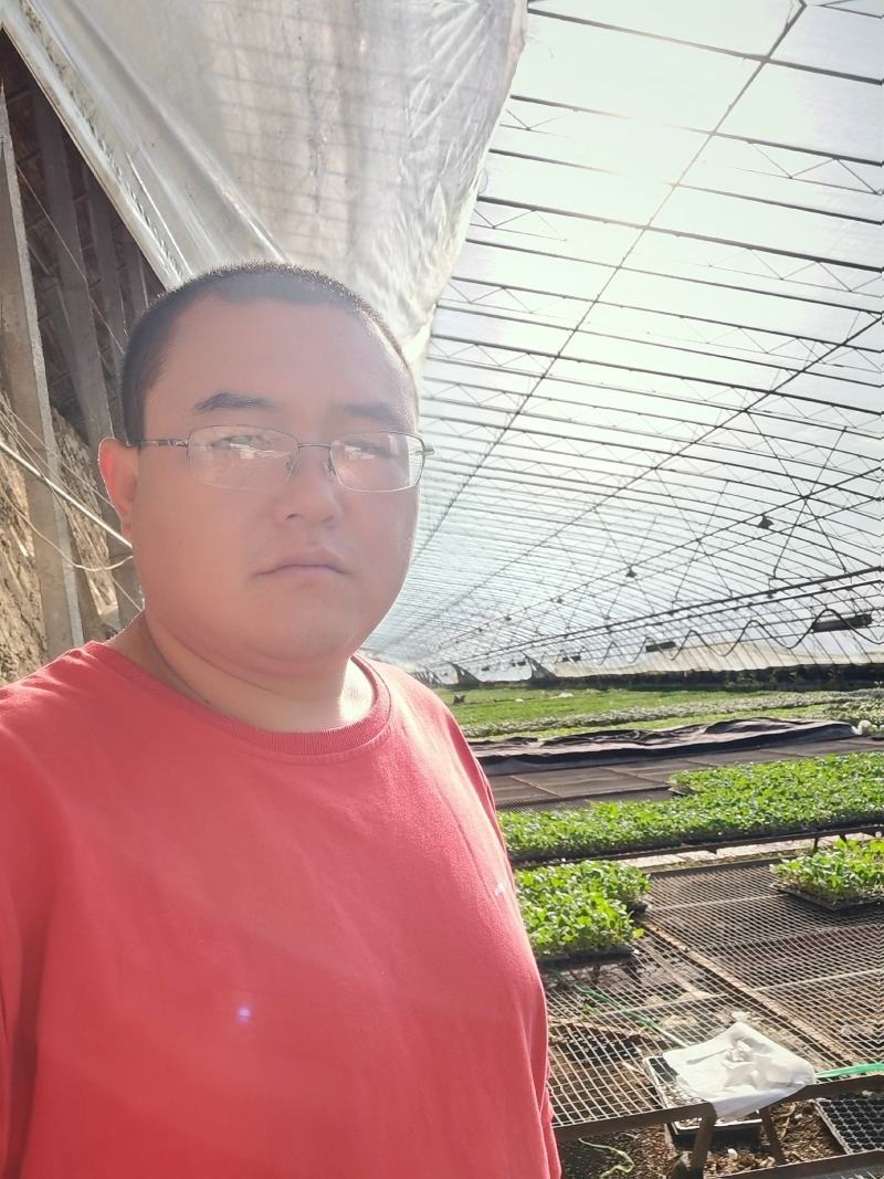 果蔬种苗