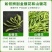 【金银花】中药材金银花忍冬忍冬花双花河南带绒毛金银花包邮
