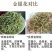 【金银花】中药材金银花忍冬忍冬花双花河南带绒毛金银花包邮