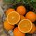 果冻橙冰糖橙纯甜新鲜橙子一件代发包邮接直播团购平台精品果