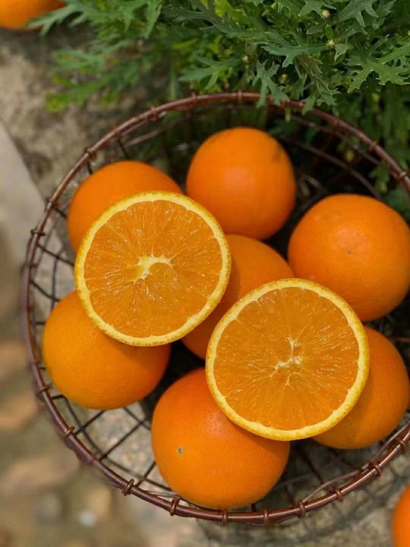 果冻橙冰糖橙纯甜新鲜橙子一件代发包邮接直播团购平台精品果