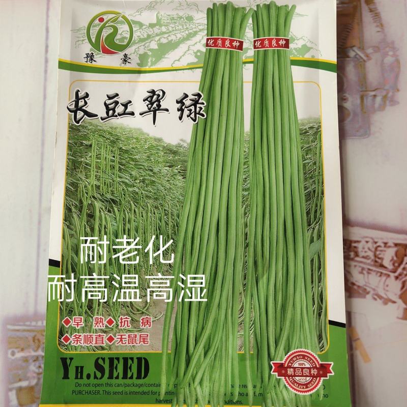 长豆翠绿豆角种子早熟小厚叶无鼠尾嫩绿白条上架快