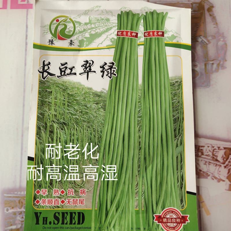 长豆翠绿豆角种子早熟小厚叶无鼠尾嫩绿白条上架快