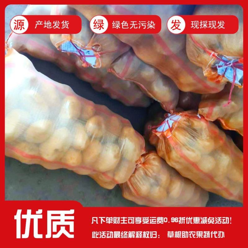 甘肃定西陇薯土豆，货源充足！大量有货！！