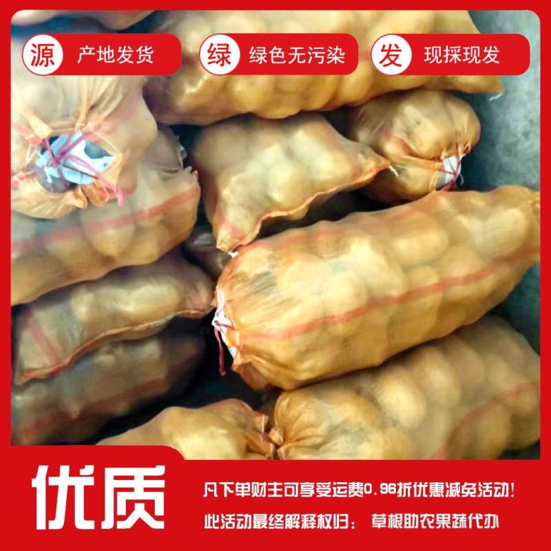 甘肃定西陇薯土豆，货源充足！大量有货！！
