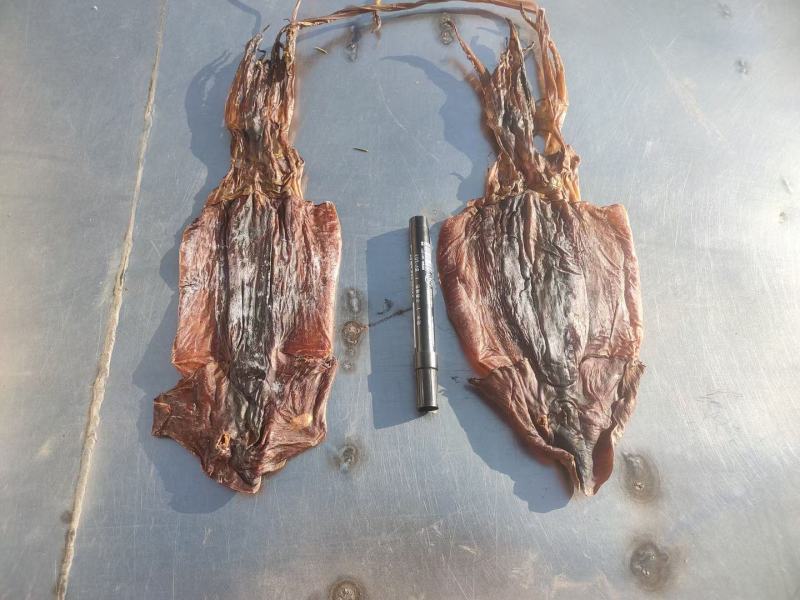 红鱿鱼干，出成率高，颜色好看，一手货源批发零售