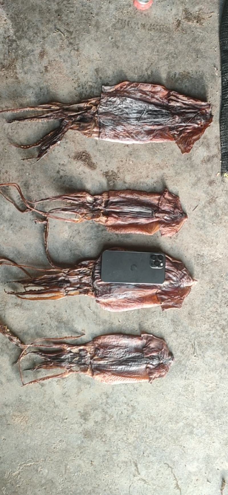 红鱿鱼干，出成率高，颜色好看，一手货源批发零售