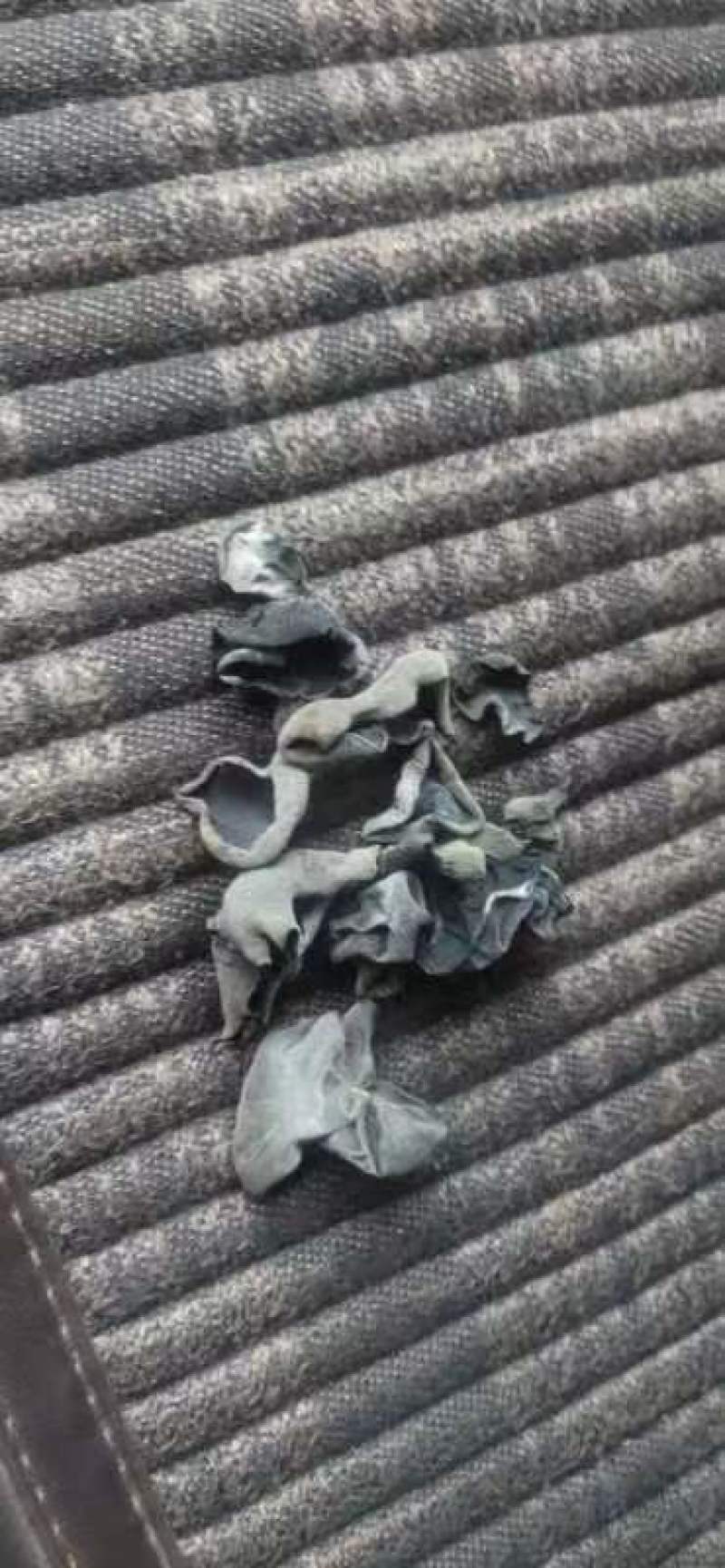，