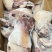 全熟真空牛头肉卤菜预制品冷冻大小块头地摊牛头肉食品批发
