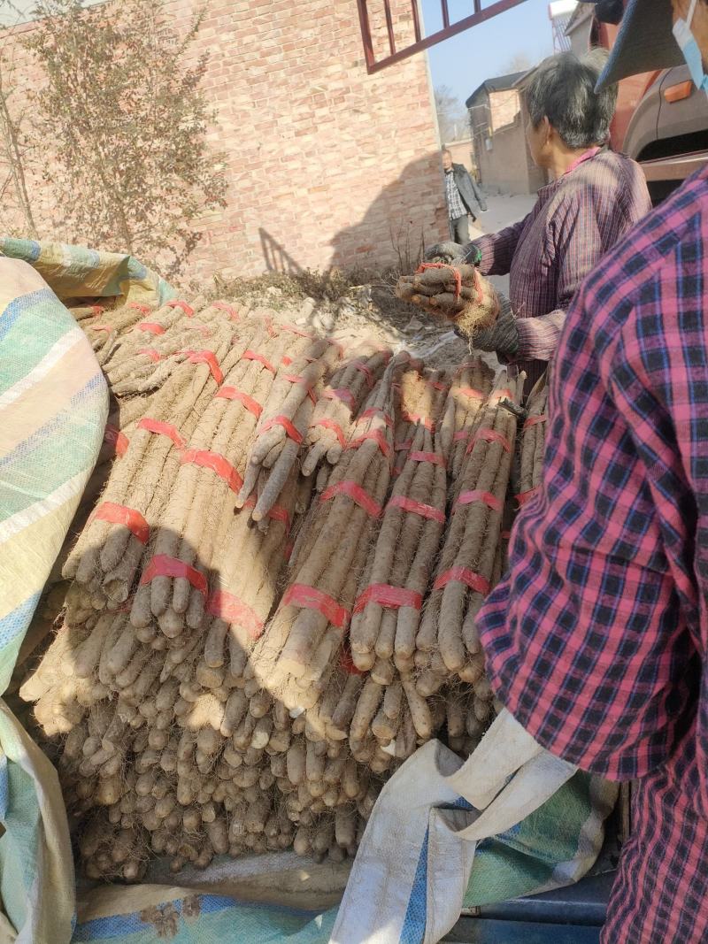 各种货源充足，交通方便，质量优，服务好，
