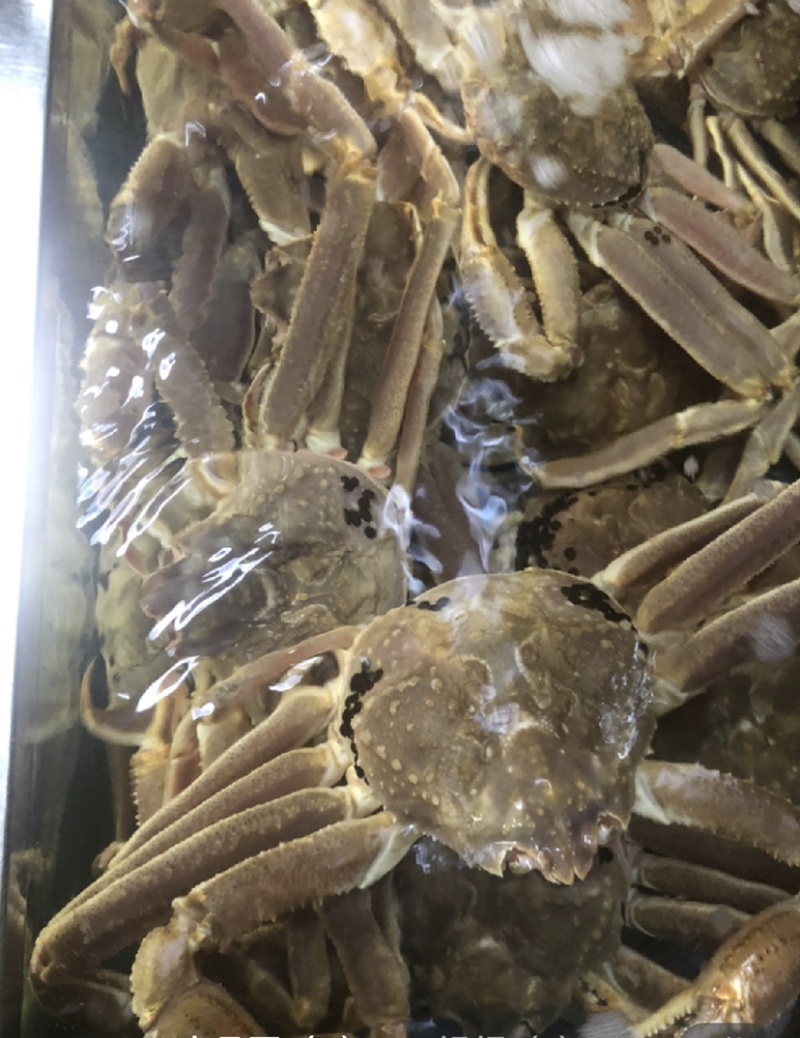 深海速冻板蟹鳕蟹板蟹脚鳕蟹足整只批发价格优惠
