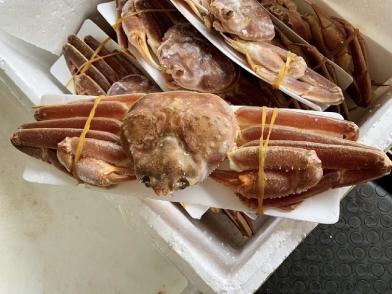 深海速冻板蟹鳕蟹板蟹脚鳕蟹足整只批发价格优惠