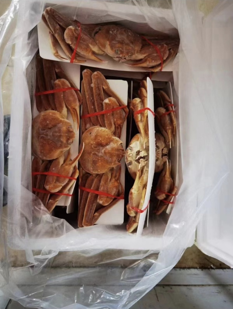 深海速冻板蟹鳕蟹板蟹脚鳕蟹足整只批发价格优惠