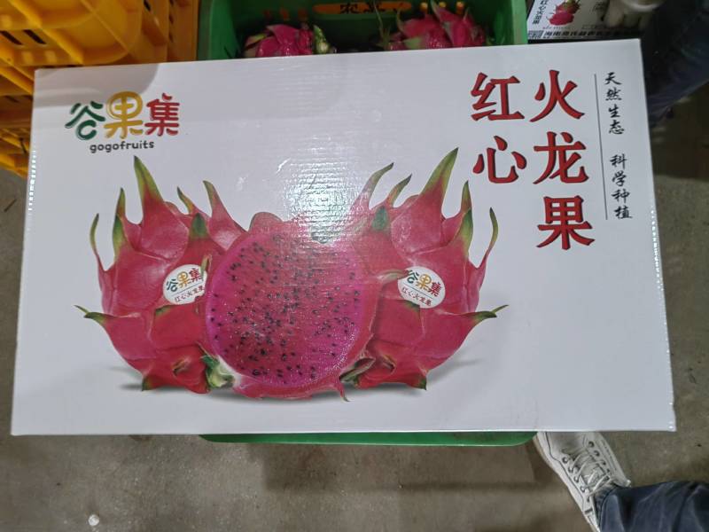海南红心火龙果大量出货，规格齐全欢迎各大市场档口合