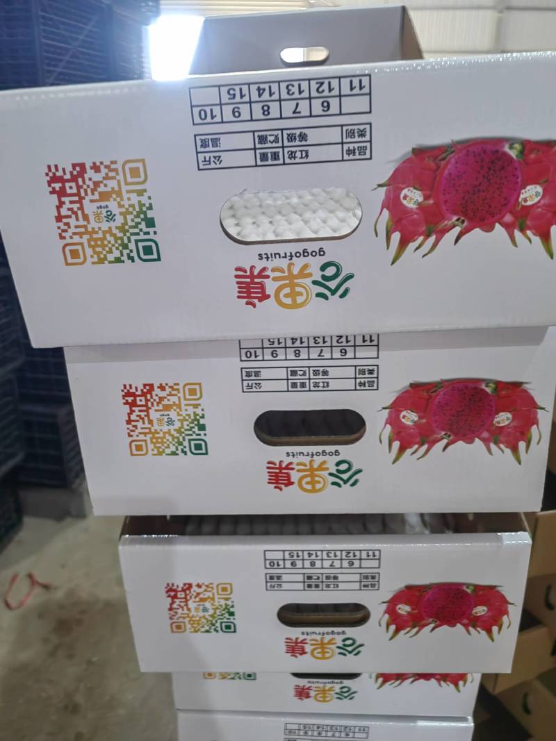 海南红心火龙果大量出货，规格齐全欢迎各大市场档口合