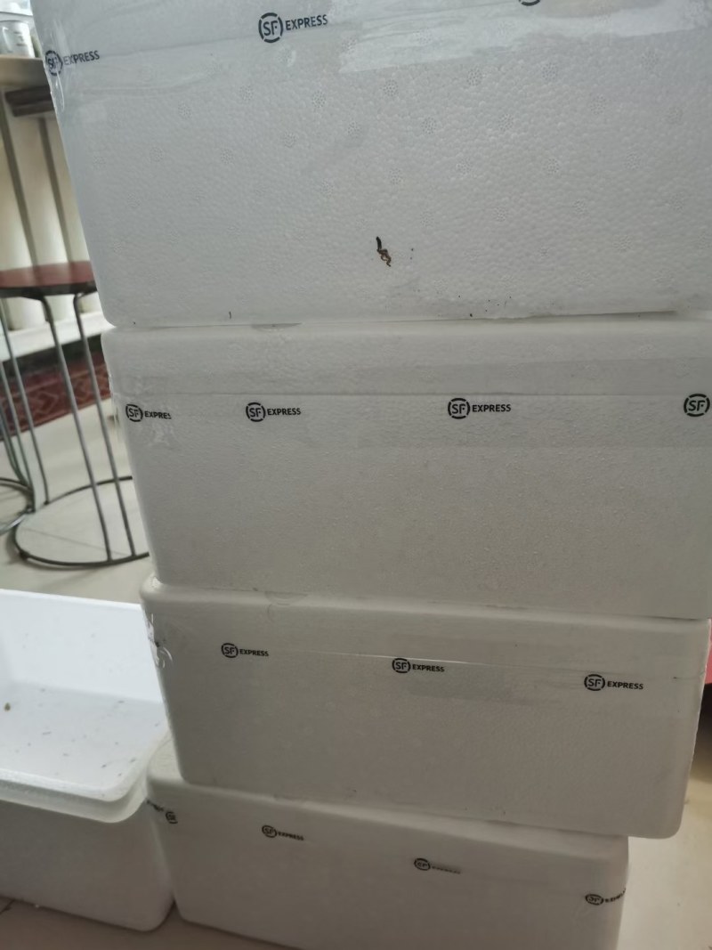 辽L盘锦碱地大柿子精品纯碱地种植自家大棚